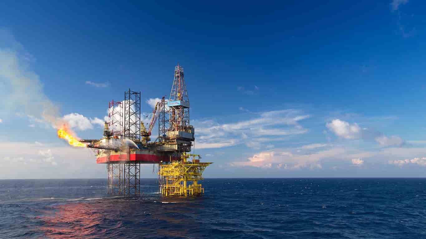 Pioneer in Project Execution and Development